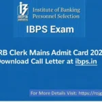 IBPS RRB Clerk Mains Admit Card 2026 download link available at ibps.in